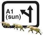 SunSITE Access - Icon